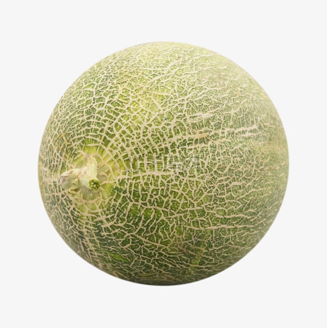Early Maturity Short Oval Shape Melon Seeds ME-086（2）